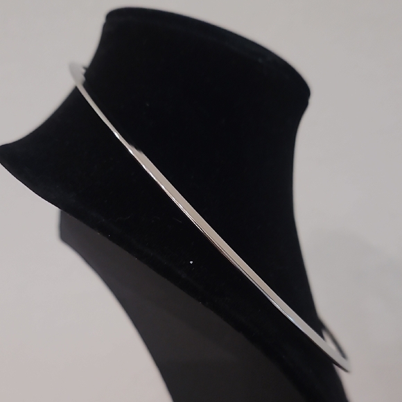 Stainless Steel Collar NWT - Picture 2 of 7